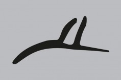 1_1375191999_akp-f-029